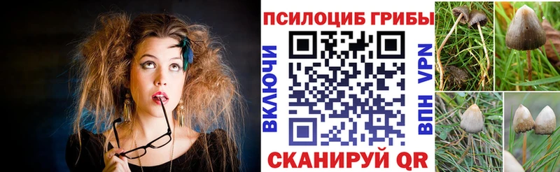 что такое наркотик  Пенза  Псилоцибиновые грибы Cubensis 